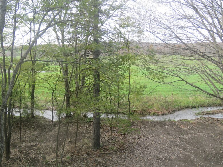 Home Exchange in Hillsdale, NY view of the land and brook