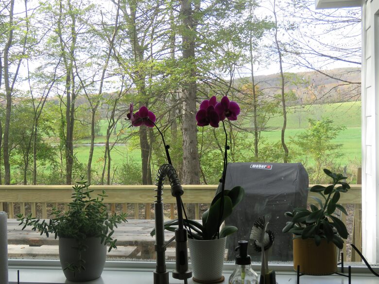 Home Exchange in Hillsdale, NY kitchen sink with a view of the land