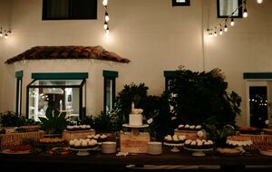 Home Exchange in Napa, CA have a party under the lights!