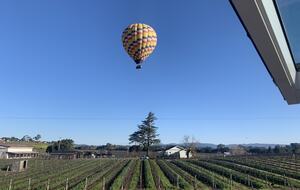 Hacienda Las Amigas - Napa, California