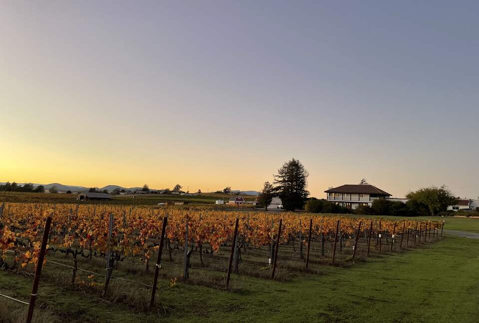 Home Exchange in Napa, CA incredible vineyard views