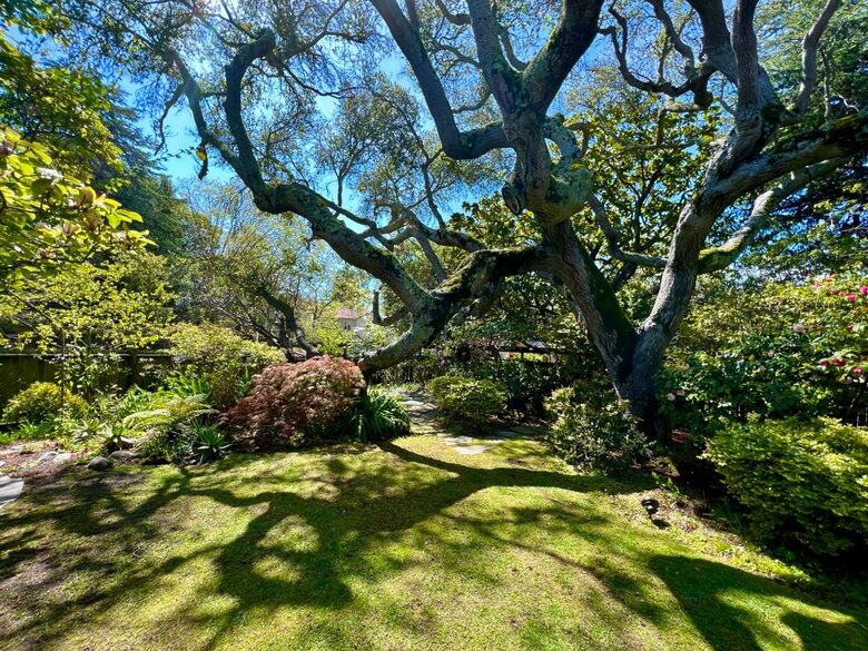 Home Exchange in Berkeley, CA