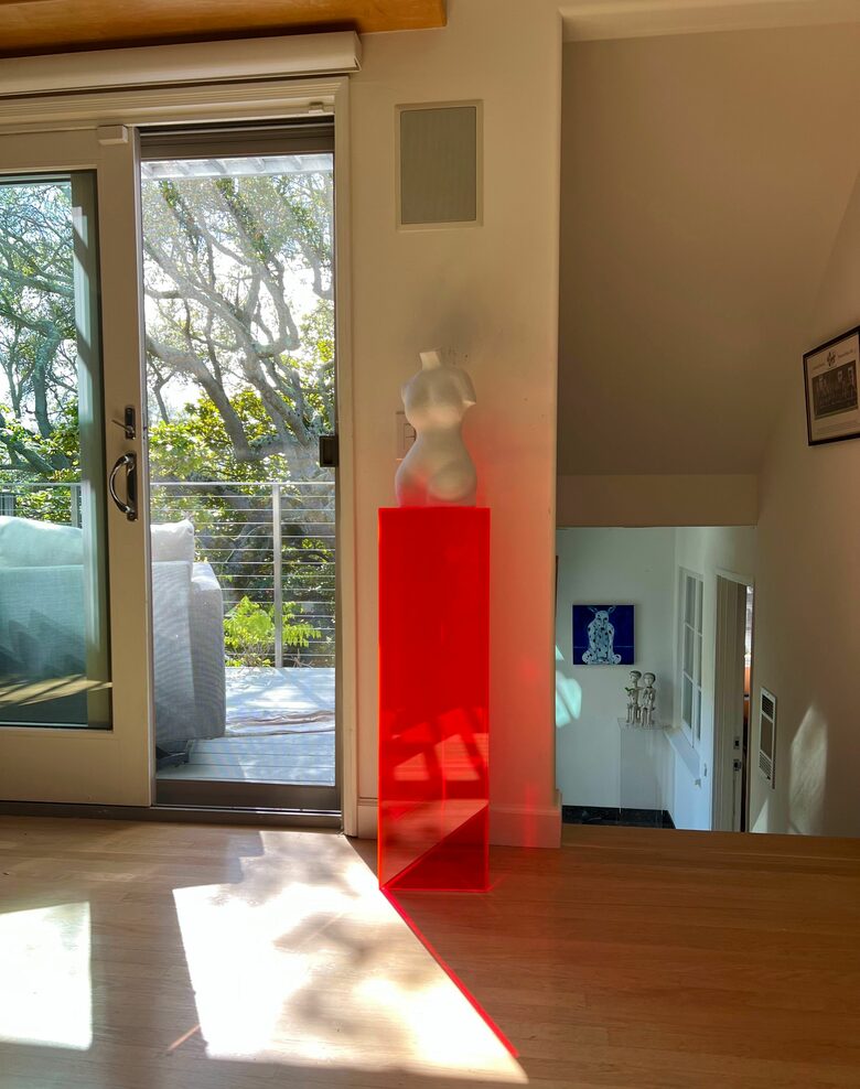Stunning Contemporary Home with Private Garden - Berkeley, California