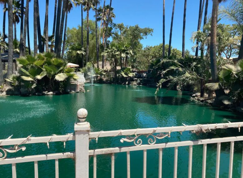 Lagoon