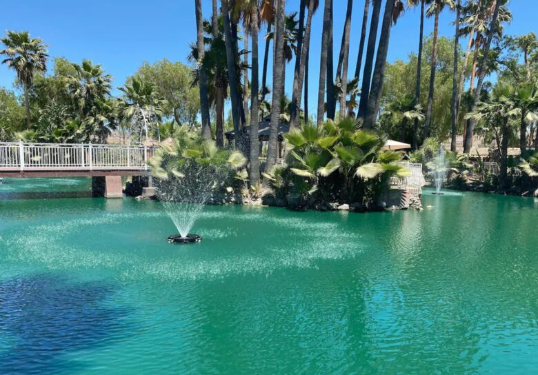 Lagoon