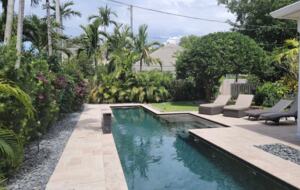 Private, heated pool with even taller foliage now