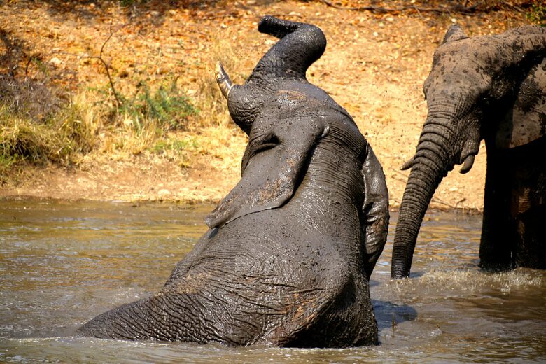 Lubbesrust Boutique Lodge - Tuli Block, Botswana