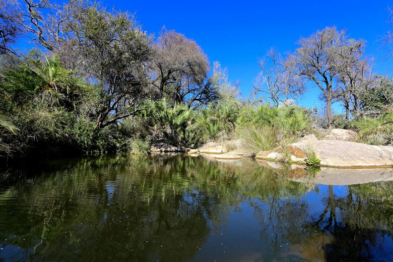 Lubbesrust Boutique Lodge - Tuli Block, Botswana