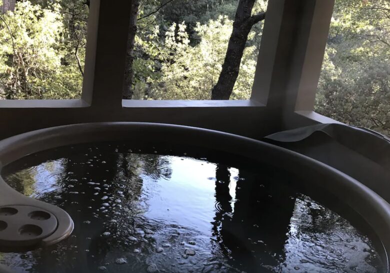 Whirlpool/spa