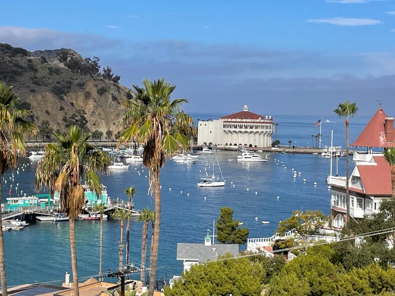 Postcard View House overlooking Avalon Bay - Avalon, California