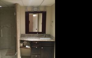 Guest bathroom