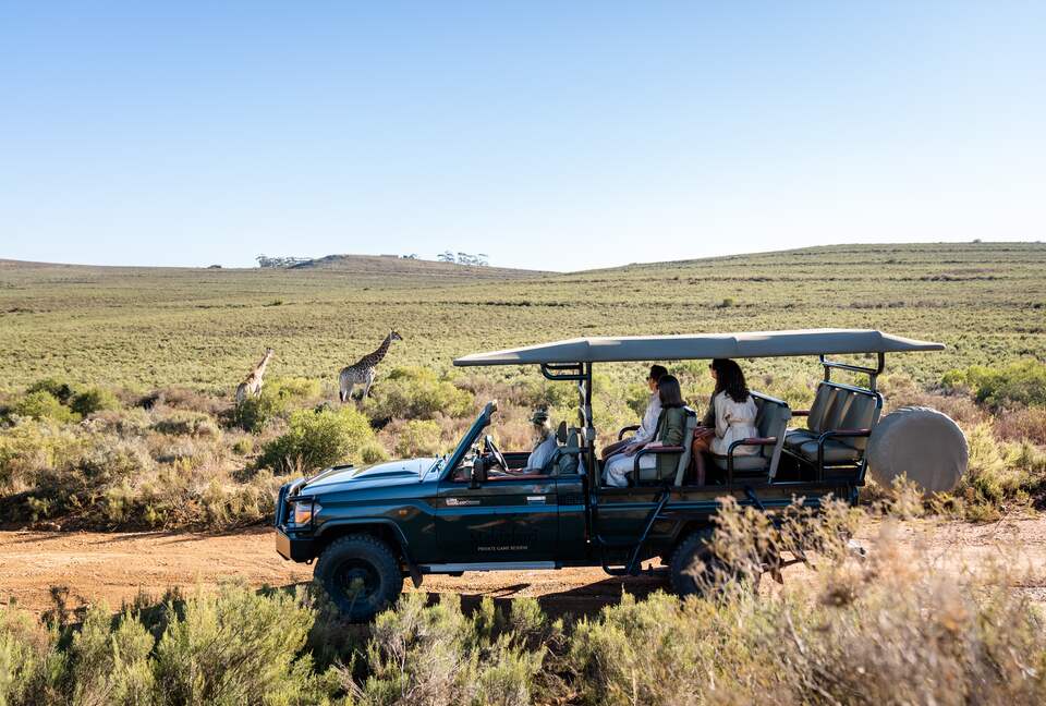 Melozhori Game Reserve | The Pod - Stormsvlei, South Africa