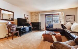 Den with fireplace