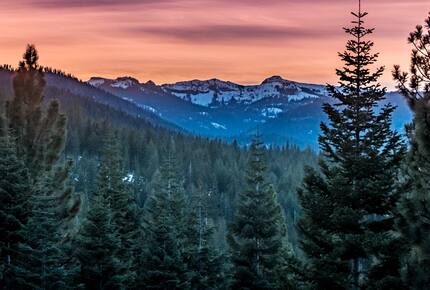 Tahoe Donner Redwoods Chalet - Truckee, California