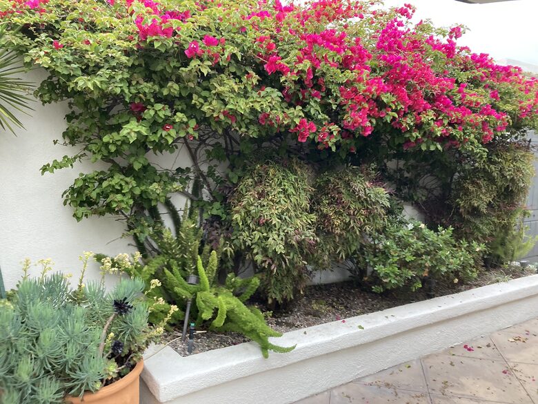 Monarch Beach Poolside Oasis - Dana Point, California