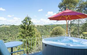 Vineyard Hilltop Retreat - Plymouth, California