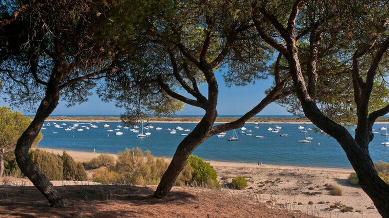 Paradise in unspoilt South of Spain - El Rompido, Cartaya, Spain