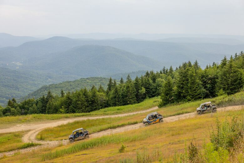 Snowshoe Black Bear Crossing- #34 - Snowshoe, West Virginia