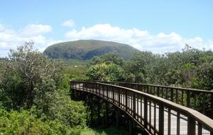 Mount Coolum seen from the beach boardwalk