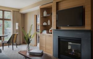 Viceroy Hotel Ski-In/Ski-Out Sanctuary - Snowmass Village, Colorado