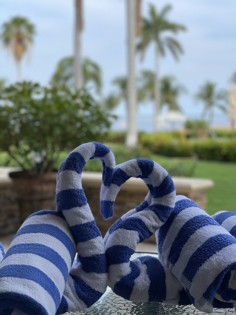 The Palms Luxury Villa, Flamingo Beach - Santa Cruz Cabo Velas, Costa Rica