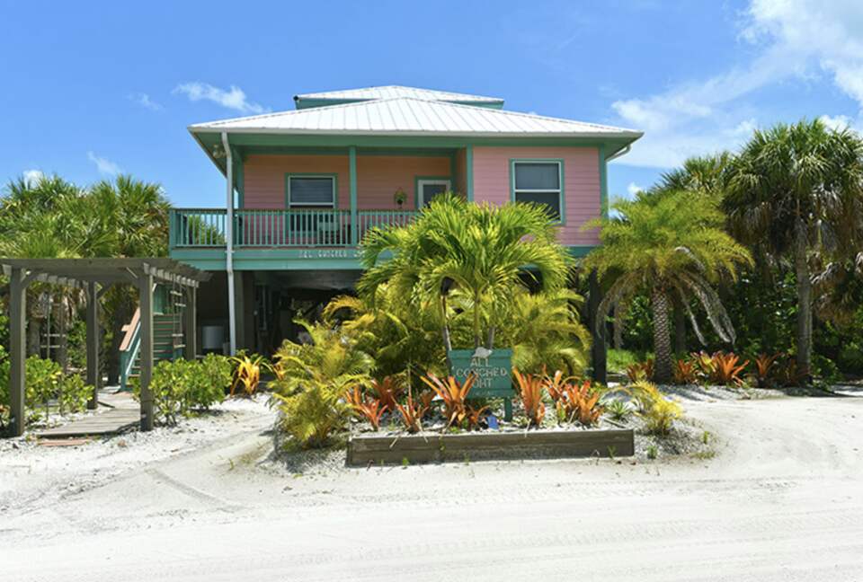 All Conched Out - North Captiva Island, Florida