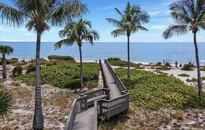 Naturalized walk to the beach over turtle habitat. They hatch in July