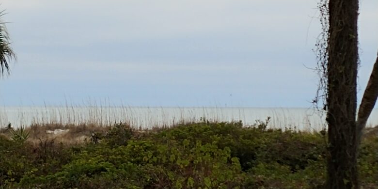 Ocean front Shorewood Villa, Hilton Head Island - Hilton Head, South Carolina