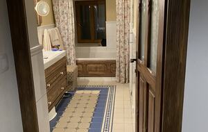 Downstairs bathroom with traditional stone tiles