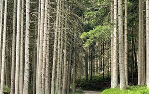 One of our local cycling paths