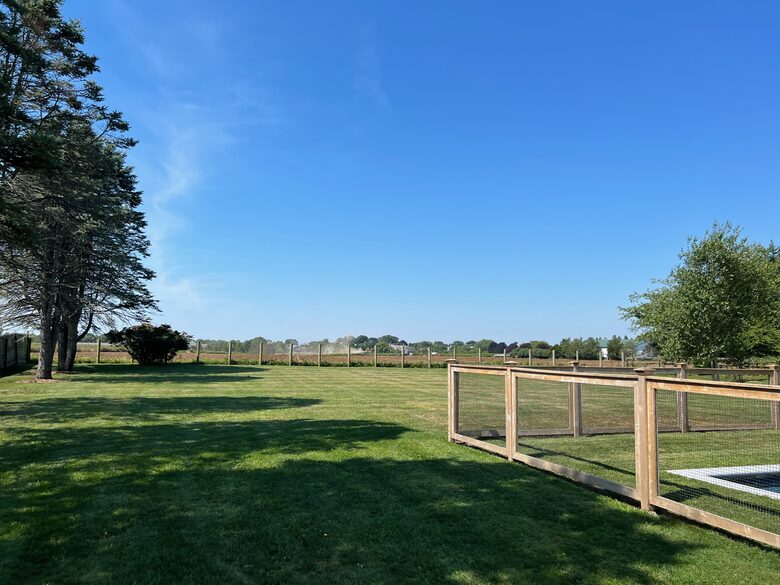 View of the farm