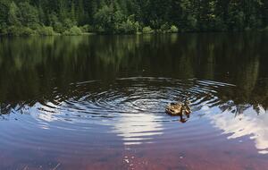 A nearby recreational fishing pond