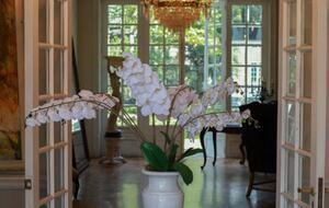 Mansion Papilio