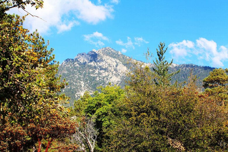 Goldfinch Lodge + Hot Tub - Idyllwild-Pine Cove, California