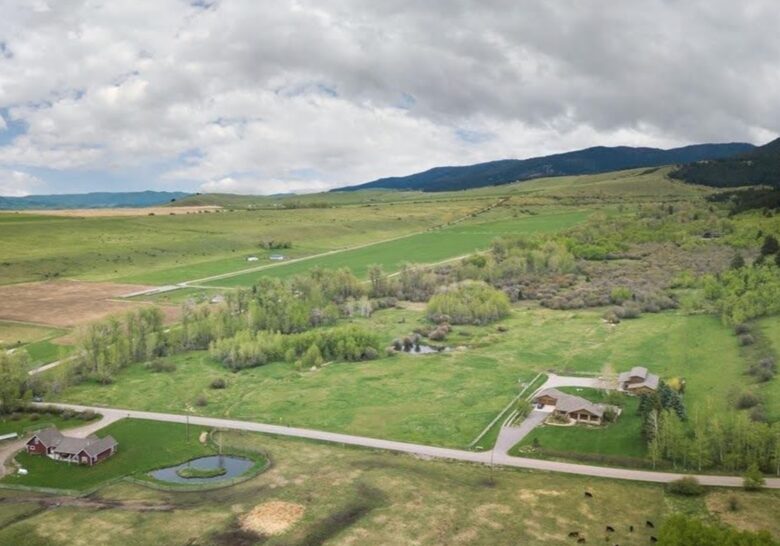 Little Bear Escape In Big Sky Country - Gallatin Gateway, Montana