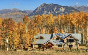 The Tree House - Crested Butte, Colorado