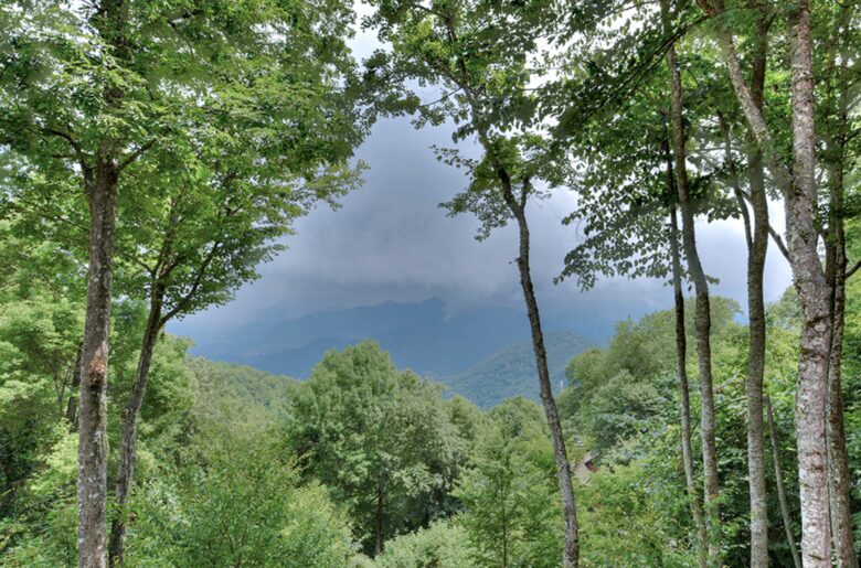 Summertime View