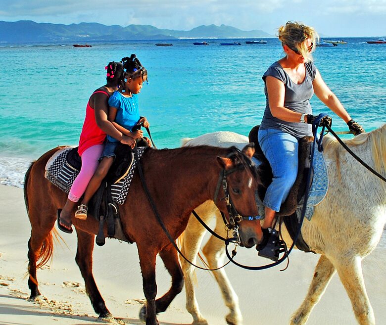 Frangipani Ocean View 2 Bedroom Suite - Meads Bay, Anguilla