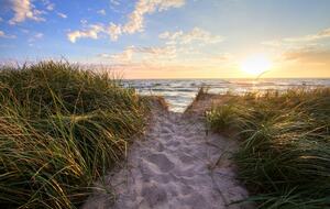 Summer Beach Getaway - Traverse City, Michigan