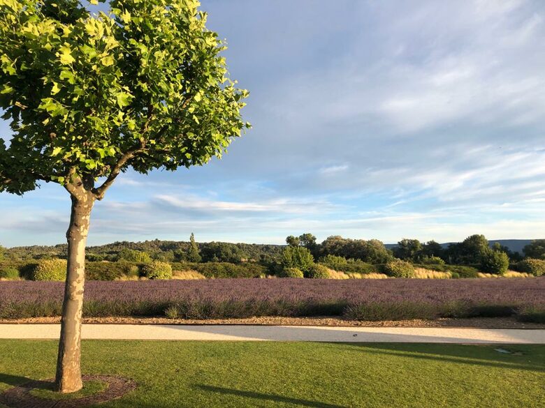 Luxury Villa In the Heart of The Luberon 'Golden Triangle' - Roussillon, France