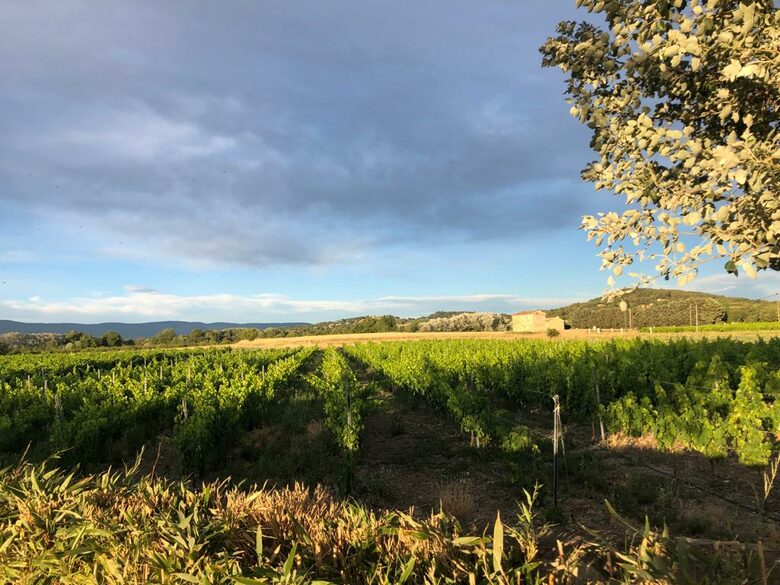 Luxury Villa In the Heart of The Luberon 'Golden Triangle' - Roussillon, France
