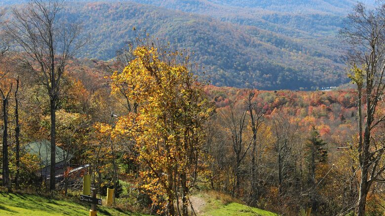Mountain Mama Ski-In/Ski-Out Retreat - Snowshoe, West Virginia