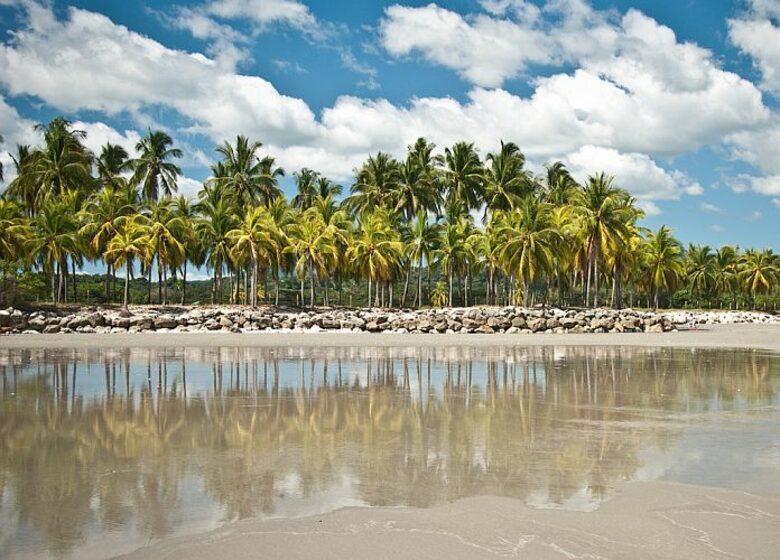 Wonderful Playa Carrillo