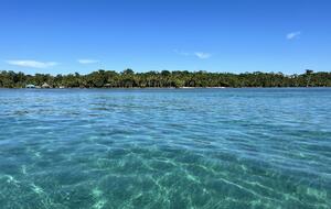 On the boat ride back to the main island of Colon