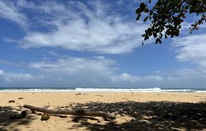 Casita Azul complex - Bastimentos, Panama