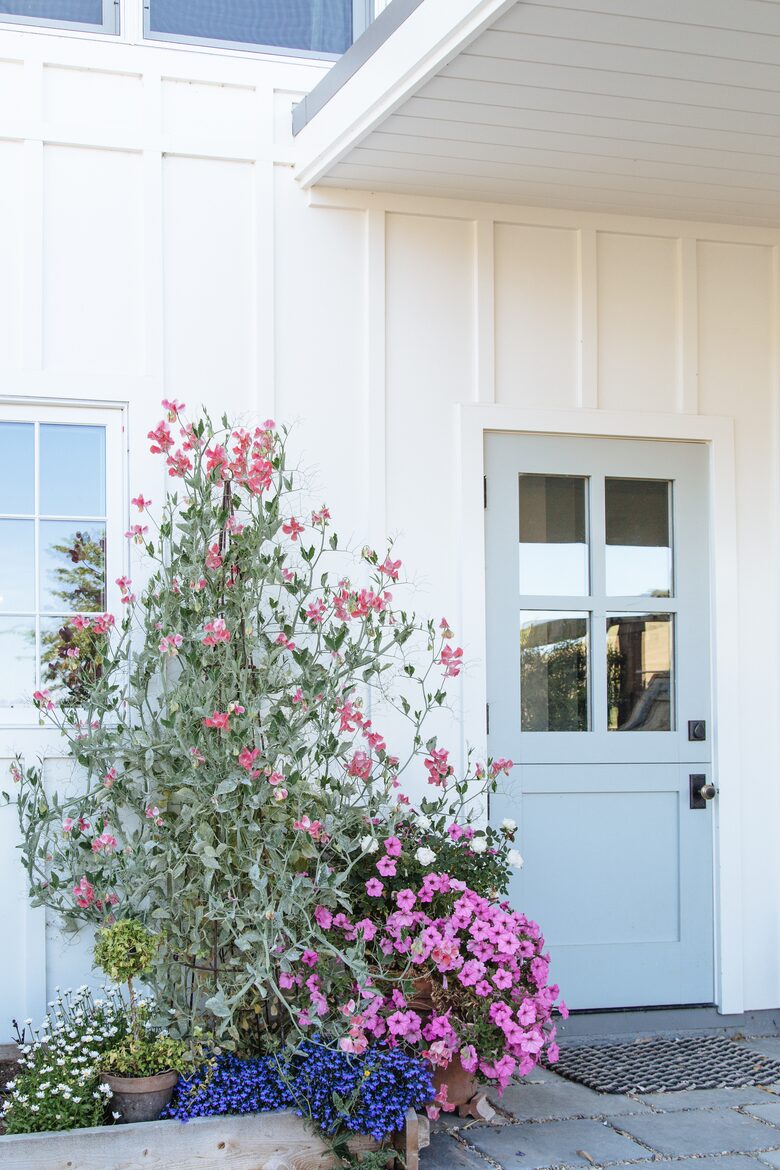Stunning Sonoma Farmhouse with Pool and Vineyard Views - Petaluma, California