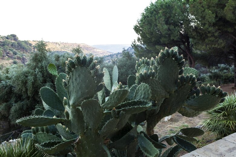Views form the main terrace
