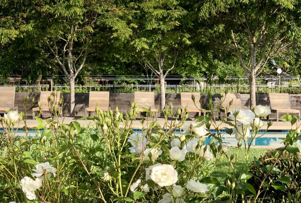 View of pool from garden in spring