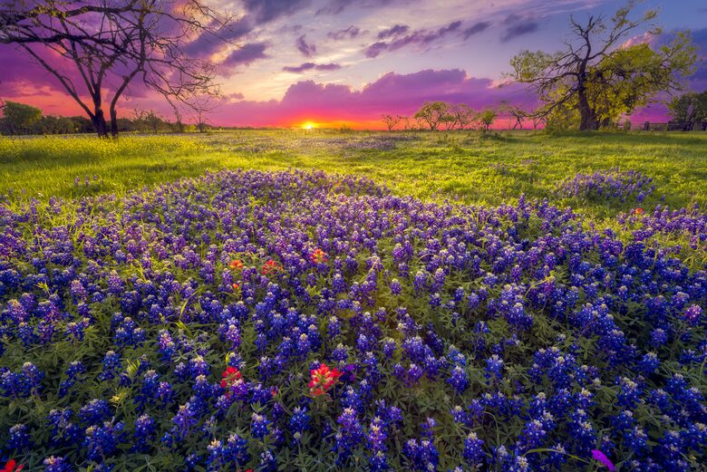 Texas Hill Country Cottage in Fredericksburg Wine Region - Fredericksburg, Texas