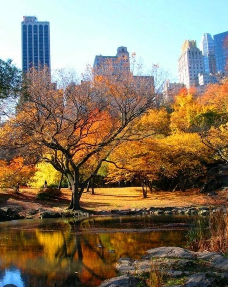 Upper West Side Studio - New York City, New York